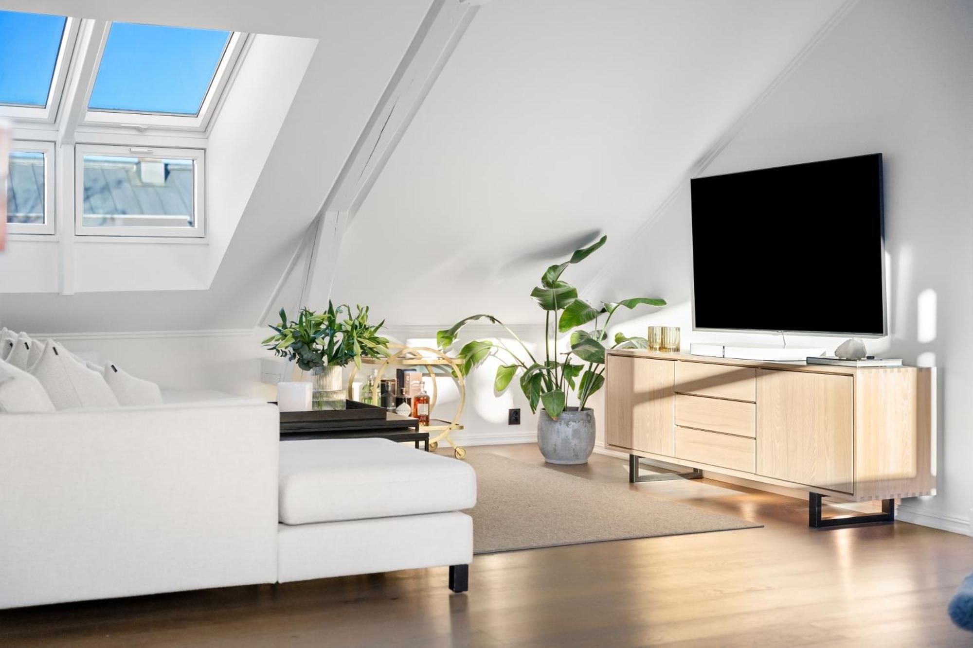 Large Penthouse With Roof Terrace Oslo
