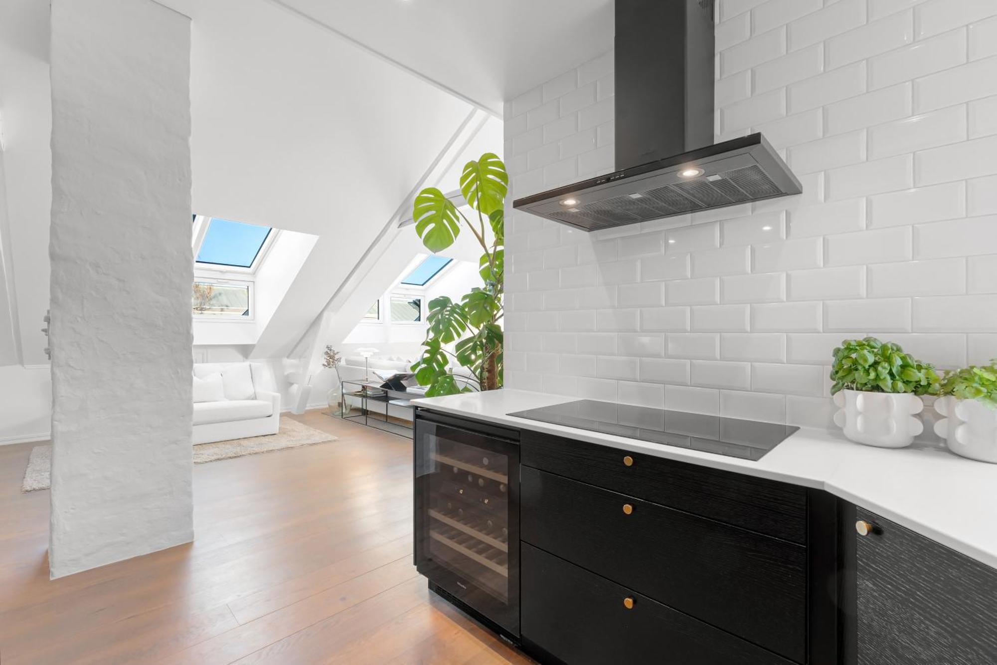 Large Penthouse With Roof Terrace